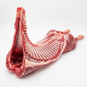 Venta de carcasas de cordero congeladas a granel, carne de primera calidad lista para exportar con envío rápido y excelente soporte - Product Image 6
