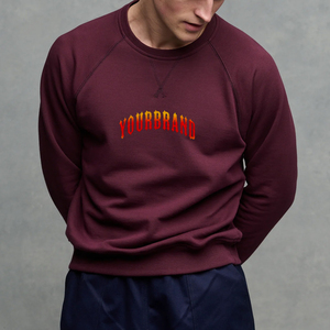 2025 nouveau arrivé 100% coton coupe ample sweats à capuche et sweats avec coutures contrastées Streetwear lourd Hip Hop sweat - Product Image 1