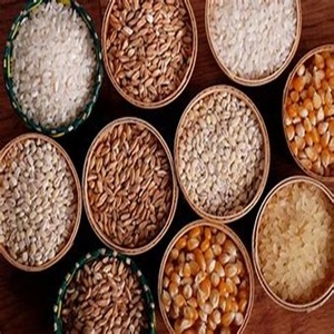 Entrega de grano de cebada seca para exportación a todo el mundo a precio de granja - Product Image 2