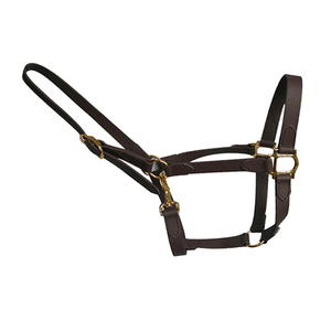 Accessoires pour chevaux, bride réglable avec boucle, en PVC, fournitures équestres, brides d'équitation - Product Image 4