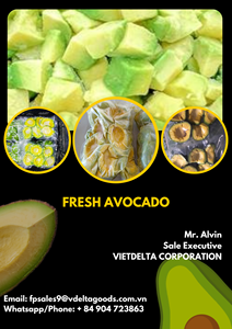 Aguacate congelado de alta calidad Delicioso aguacate congelado en Vietnam Aguacate congelado al mejor precio - Product Image 6