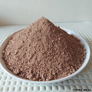 Harina de copra de alta calidad de Vietnam - Suministro estable, valor nutricional constante - Product Image 1