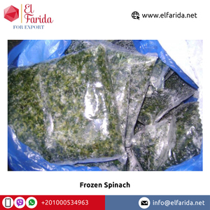 Légumes d'épinards surgelés certifiés IQF de haute qualité Merveilleux délicieux frais feuilles séchées vente en gros exportation vers l'Égypte - Product Image 5