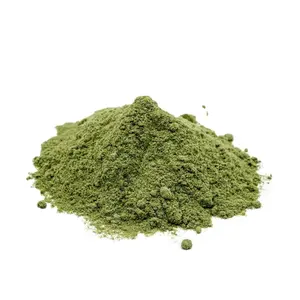 Senna Pods Powder for Glowing and Healthy Skin at a Low Bulk Price | Get Senna Pods Powder At Wholesale