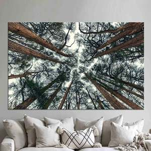 Arte Impreso en Lienzo: Canopy de Árboles, Decoración Rústica, Diseño Minimalista, Lienzo Enrollado - Product Image 1