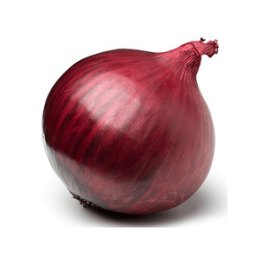 Oignons rouges frais de première qualité, non pelés, ronds, origine américaine, prix raisonnable - Product Image 5