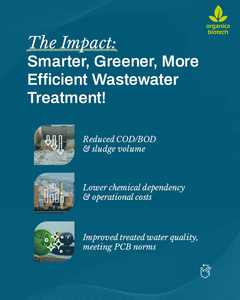 Traitement des eaux usées des pâtes et papiers - Product Image 5