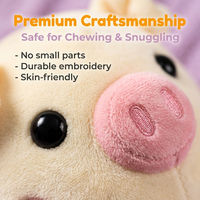 Peluche Porc Sauterette Musicale, Balle Clown, Balle Vague de Mer, Jouet Interactif Parlant Style TikTok pour l'Apprentissage du Langage et Sensoriel