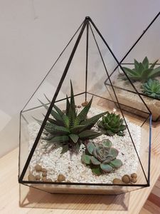 Top Vintage Collection Décors Terrarium en verre transparent avec bordure en laiton fini noir Table suspendue Décorer Boîtes à bijoux - Product Image 3