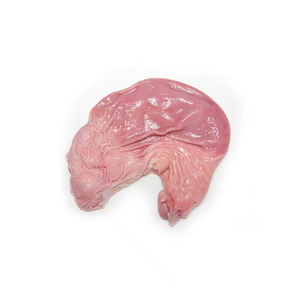 Intestins de porc congelés et emballés dans des matériaux de qualité alimentaire pour un transport et un stockage sûrs - Product Image 1
