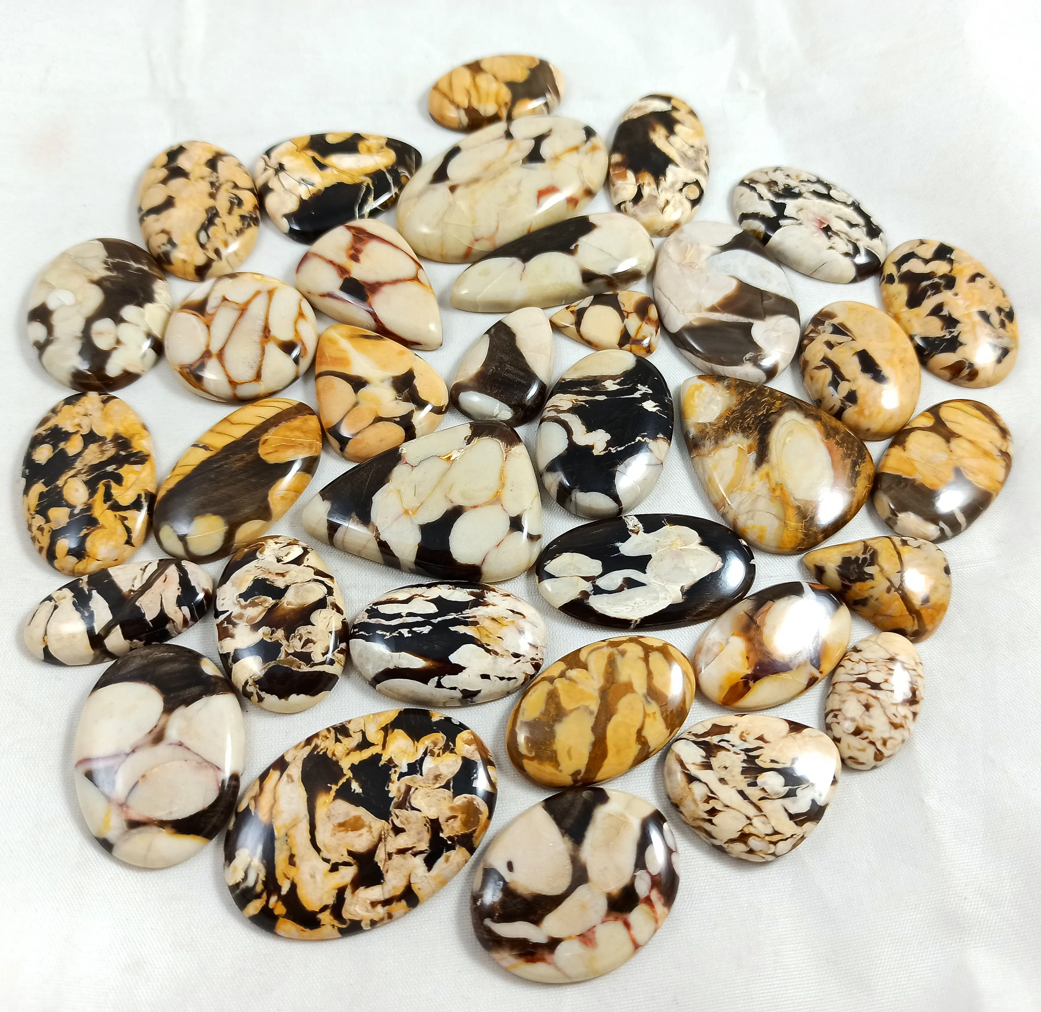 TOP QUALITY Peanut wood Gemstone Cabochons Wholesale LOT Peanut wood Fossil Cabochon Lot Petrified Wood Stone Cab For Jewelry