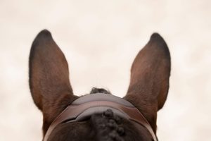 Bride en cuir au design unique - Product Image 4