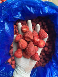 Friandise fruitée croustillante en vrac, en gros, sous vide, morceaux et tranches de fraises lyophilisées, yaourt, flocons d'avoine - Caryln - Product Image 5