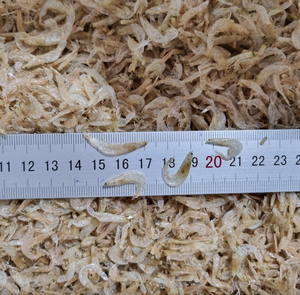 Krill séché à l'air, idéal pour les sautés et comme garniture pour les nouilles, issu des eaux du Vietnam - Product Image 1