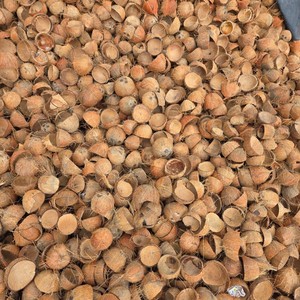 Cáscara de Coco Triturada Cruda Baja en Fibra, la Mejor Opción para Hacer Carbón Vegetal de Alta Calidad, Procedente de Vietnam, Bolsa de 20 kg a Precio Económico - Product Image 3