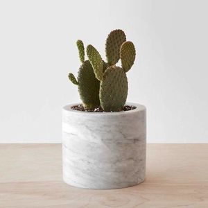 Macetero de Mármol de Diseño Recién Llegado, Elaborado para Fines de Estilo Interior de Primera Calidad - Product Image 4
