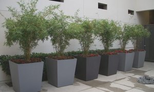 2023 Macetas de jardín verticales para interiores/exteriores de calidad superior del fabricante indio al mejor precio para uso doméstico - Product Image 5