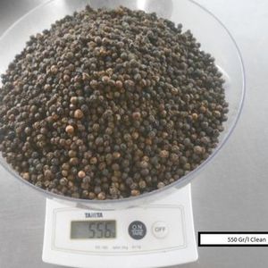 Épices chaudes de haute qualité 570g/L MC nouvelle culture graines de poivre noir prix d'usine direct haut Vietnam Hanfimex WhatsApp disponible - Product Image 4