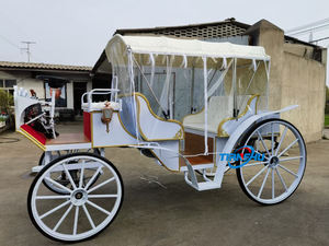Prix d'usine bon marché OEM chariot de mandrin citrouille électrique 6 places sans chevaux <span class=keywords><strong>wagon</strong></span> électrique de tourisme - Product Image 3