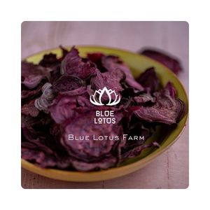 บีทรูทแห้งสารต้านอนุมูลอิสระหวานตามธรรมชาติที่อุดมไปด้วยวิตามินไฟเบอร์และเหมาะสำหรับอาหารว่างเพื่อสุขภาพ - Product Image 1