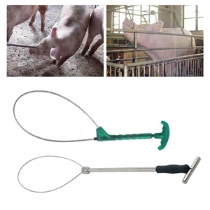 Soporte para cerdos de alta calidad, recogedor de perros, equipo agrícola resistente de acero inoxidable, instrumento veterinario, Impresión de logotipo personalizado - Product Image 1