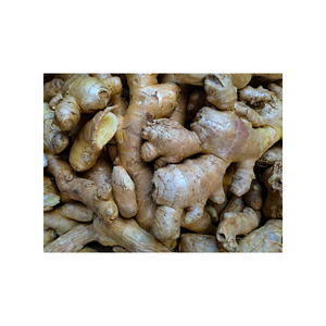 Jengibre fresco para hacer Cremas Naturales para aliviar el dolor - Product Image 1