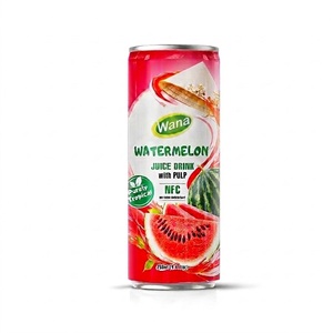Jugo de Sandía Premium con Pulpa, Bebida Lista para Beber en Lata de 250 ml, OEM, Marca Privada para Distribuidores y Propietarios de Marcas - Product Image 2