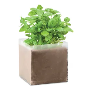Graines de basilic écologiques pour fournitures de jardinage - Product Image 1