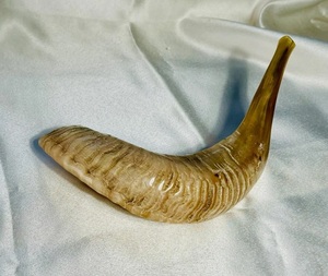 Shofar de cuerno de carnero hecho a mano pulido natural kosher shofar para Fiestas Judías - Product Image 1