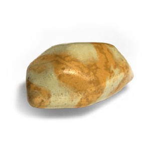 Vejiga Bovina Congelada - Proveedor Mayorista de Vejigas Bovinas al por Mayor - Product Image 6
