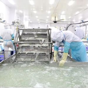 100% Pure Aloe Vera and Aloe Vera Jelly for Soft Drinks Fruits <b>ICED</b> ALOE VERA GEL Discount for First Order - Product Image 4