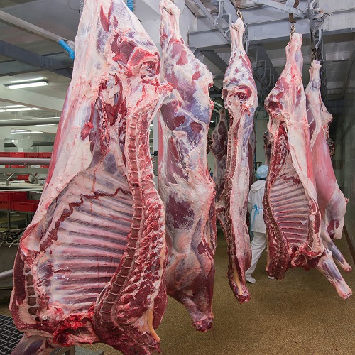 Оптовые поставки свежего мяса буйвола без костей/замороженная говядина Быстрая доставка-купить буйвола
