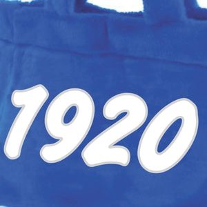 Zeta Phi Beta ZPB sac fourre-tout en fourrure de sororité bleu Royal avec lettres brodées blanches 1920 tissu en peluche doux cadeau collégial élégant - Product Image 3