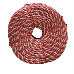 Corde Danline PP, corde marine, corde d'emballage torsadée PP pour filet de pêche Marine - Product Image 1