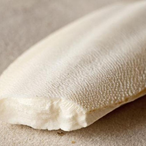 ÉTIQUETTE D'OS DE SEICHE PRODUIT NATUREL - Product Image 6