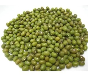 Frijoles Vigna Verdes Frescos y Secos, Frijoles Mung, Granos Enteros para Procesamiento de Alimentos y Cocina - Product Image 4