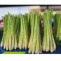 Citronnelle Barbed Wire Grass, cultivée de manière durable au Vietnam, maintenant disponible pour l'exportation à des tarifs abordables en 2024.