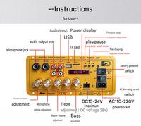 D400 Güç Amplifikatörü Kartı için TWS Çift MIC USB TF Girişi Uzaktan Kumanda 12V Pil Şarjı 24V 220V Sistemleri
