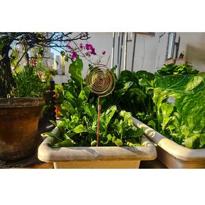 Elegantes estacas de jardín de cobre para bordes de jardín en espiral y protección de plantas para precio de venta de exportación - Product Image 1