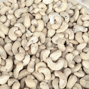 Gran oferta 2025 anacardos crudos al por mayor 160 180 240 Color blanco fábrica Santigo lista para enviar - Product Image 1