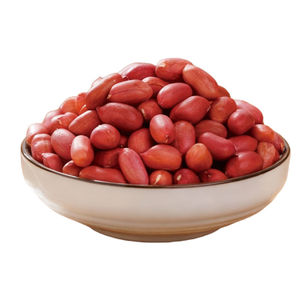 Núcleos Secos Crudos al por Mayor para Marcas de Snacks y Productores de Confitería - Suministro de Maní 100% Natural - Product Image 4