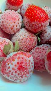 2025สินค้ายอดนิยมสตรอเบอร์รี่อบแห้งสำหรับใส่ไอศกรีมแพ็คผสมขนมขบเคี้ยวและการจัดหาอุตสาหกรรมอาหาร - Product Image 6