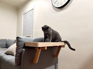 Hostk biểu tượng tùy chỉnh tre mèo gỗ cử<span class=keywords><strong>a</strong></span> sổ cá rô võng ghế mèo giường - Product Image 4