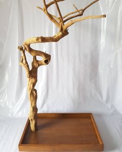 Hot Items Wholesale Coffee <b>Wood</b> (Java <b>Wood</b>) Bird Play Stand for Pet Parrots Parrot Accessories from Vietnam Manufacturer - Product Image 5
