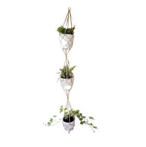 Último diseño, colgador de macramé para plantas, maceta colgante para interiores y exteriores, cesta de macramé, cuerda de algodón, decoración del hogar para proveedor indio - Product Image 3
