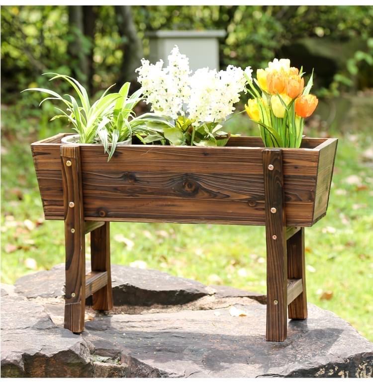 สีดำสีกากี