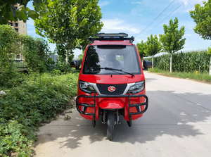 Tricycle passager à trois roues, moteur essence monocylindre 200cc refroidi par eau, très demandé - Product Image 6