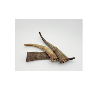 Perro de cabra mastica cuernos de agua naturales golosinas para perros hechas a mano en la India estilo Animal pulido con muestra gratis Color de cuerno natural - Product Image 1