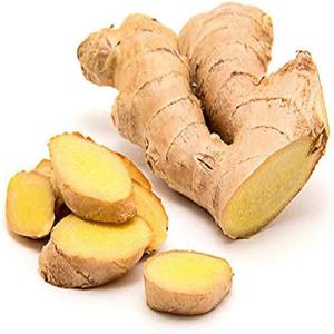 Gingembre frais biologique de nouvelle récolte en vrac livraison rapide prix de gros bon marché - Product Image 5