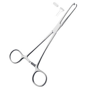 Forceps chirurgicaux dentaires en acier inoxydable, manuels, classe III, pour la chirurgie de la langue - Product Image 3